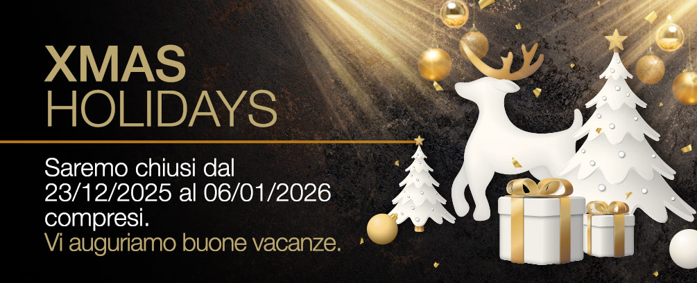 chiusura Natalizia di Galvanica Sata