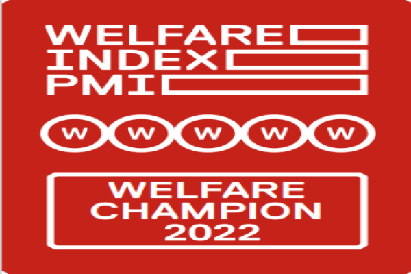 WELFARE  INDEX PMI 2022